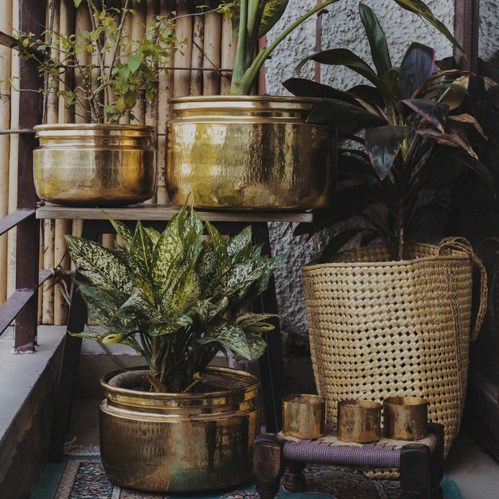 Brass Planters